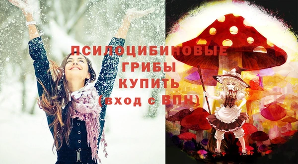 бошки Абаза