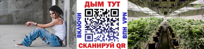 Каннабис семена  Таштагол 